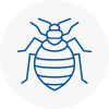 Bed Bug Extermination In Prestwich